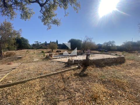 Excelente quinta com moradia para renovar situada em zona tranquila e valorizada.