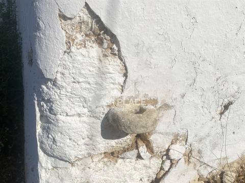 Excelente quinta com moradia para renovar situada em zona tranquila e valorizada.