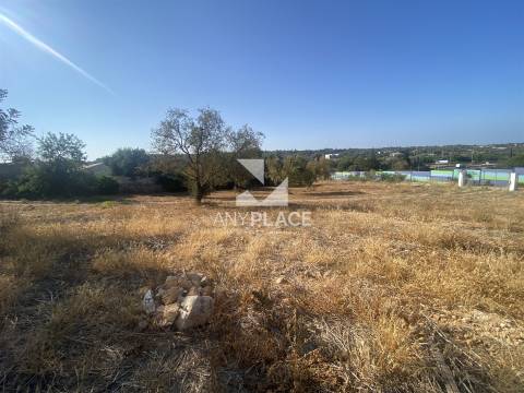 Excelente quinta com moradia para renovar situada em zona tranquila e valorizada.