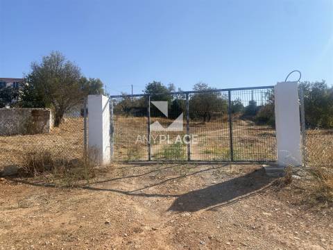 Excelente quinta com moradia para renovar situada em zona tranquila e valorizada.