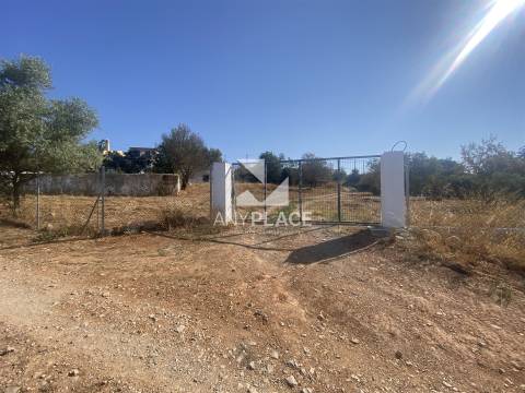 Excelente quinta com moradia para renovar situada em zona tranquila e valorizada.