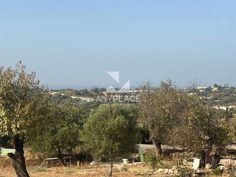 Excelente quinta com moradia para renovar situada em zona tranquila e valorizada.