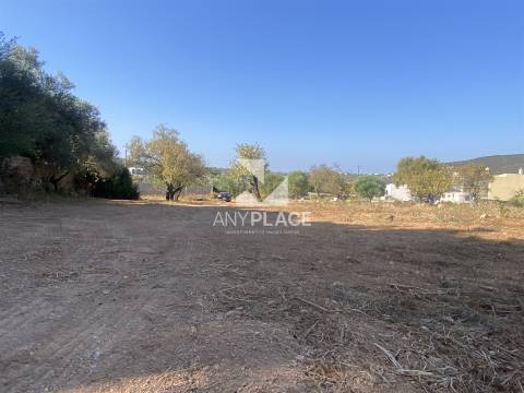 Excelente quinta com moradia para renovar situada em zona tranquila e valorizada.