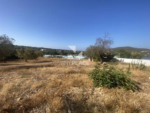 Excelente quinta com moradia para renovar situada em zona tranquila e valorizada.