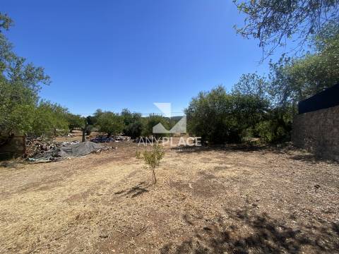 Quinta para recuperar situada numa zona muito valorizada.