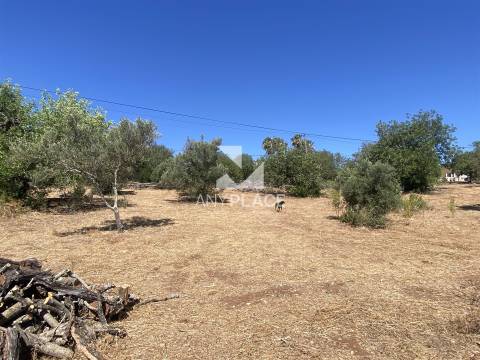Quinta para recuperar situada numa zona muito valorizada.