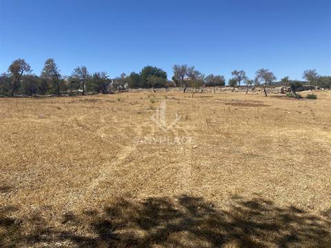 Terreno para construção de moradias em condomínio de Luxo