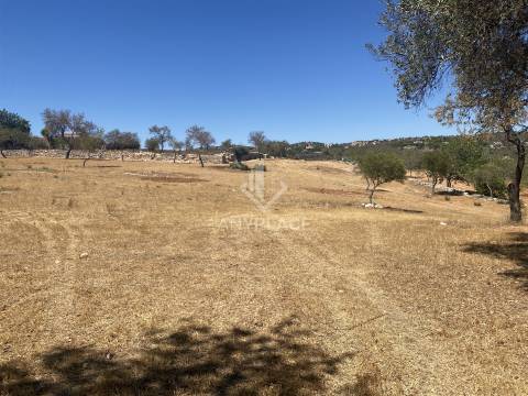 Terreno para construção de moradias em condomínio de Luxo