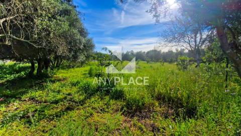 Terreno situado na Goldra , com excelente Potencial para Construção de Duas Moradias de Prestígio.