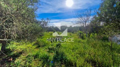 Terreno situado na Goldra , com excelente Potencial para Construção de Duas Moradias de Prestígio.