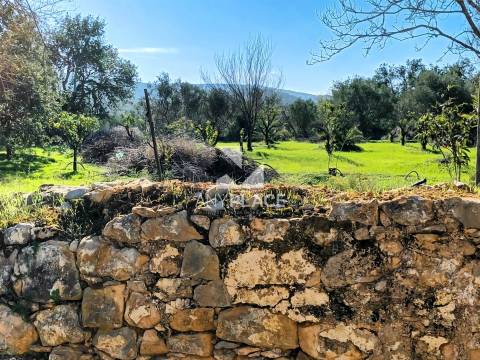 Terreno situado na Goldra , com excelente Potencial para Construção de Duas Moradias de Prestígio.