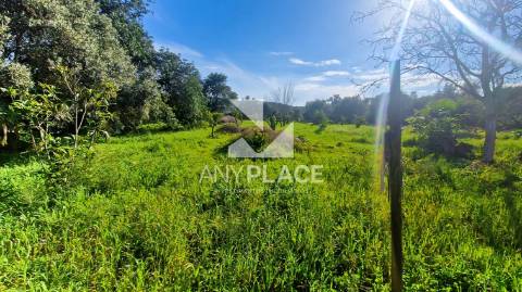 Terreno situado na Goldra , com excelente Potencial para Construção de Duas Moradias de Prestígio.