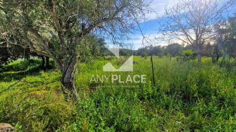 Terreno situado na Goldra , com excelente Potencial para Construção de Duas Moradias de Prestígio.