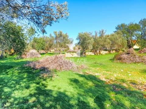 Terreno situado na Goldra , com excelente Potencial para Construção de Duas Moradias de Prestígio.