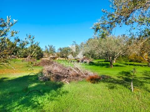 Terreno situado na Goldra , com excelente Potencial para Construção de Duas Moradias de Prestígio.