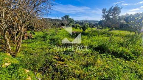Terreno situado na Goldra , com excelente Potencial para Construção de Duas Moradias de Prestígio.