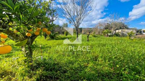 Terreno situado na Goldra , com excelente Potencial para Construção de Duas Moradias de Prestígio.
