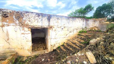 Propriedade com Potencial de Desenvolvimento Turístico ou Residencial.