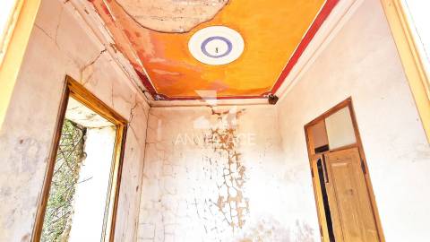 Propriedade com Potencial de Desenvolvimento Turístico ou Residencial.