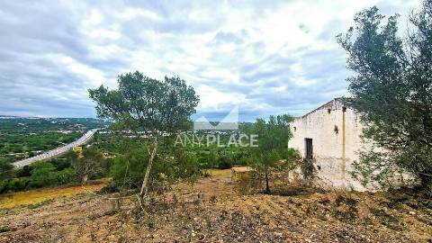 Propriedade com Potencial de Desenvolvimento Turístico ou Residencial.