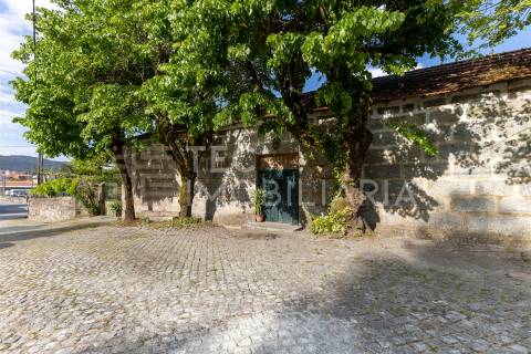 Magnífica quinta, para quem procura tranquilidade para viver ou investir num projeto de sucesso.