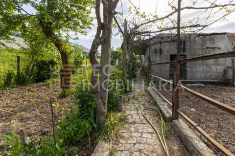 Magnífica quinta, para quem procura tranquilidade para viver ou investir num projeto de sucesso.