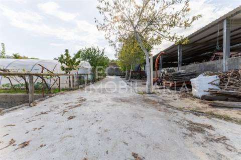 Magnífica quinta, para quem procura tranquilidade para viver ou investir num projeto de sucesso.