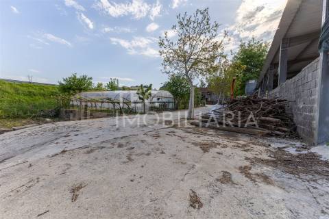 Magnífica quinta, para quem procura tranquilidade para viver ou investir num projeto de sucesso.