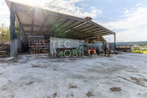 Magnífica quinta, para quem procura tranquilidade para viver ou investir num projeto de sucesso.