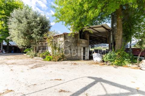 Magnífica quinta, para quem procura tranquilidade para viver ou investir num projeto de sucesso.