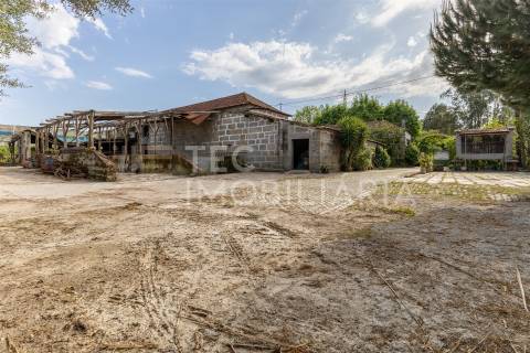 Magnífica quinta, para quem procura tranquilidade para viver ou investir num projeto de sucesso.