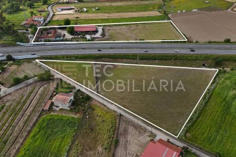 Magnífica quinta, para quem procura tranquilidade para viver ou investir num projeto de sucesso.