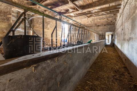 Magnífica quinta, para quem procura tranquilidade para viver ou investir num projeto de sucesso.