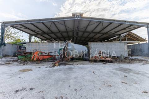 Magnífica quinta, para quem procura tranquilidade para viver ou investir num projeto de sucesso.