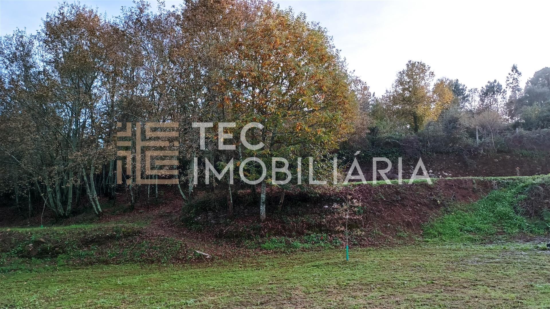 Quintinha  Venda em Foz do Sousa e Covelo,Gondomar