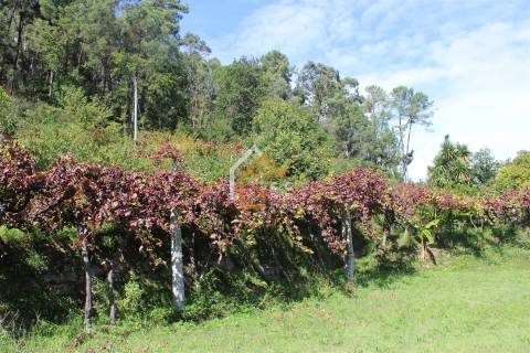 Quinta T2 Venda em Gondoriz,Arcos de Valdevez