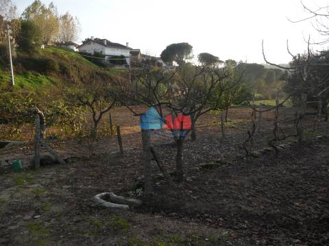 Terreno  Venda em Povolide,Viseu
