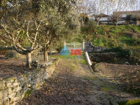 Terreno  Venda em Povolide,Viseu