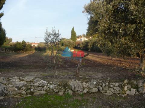 Terreno  Venda em Povolide,Viseu