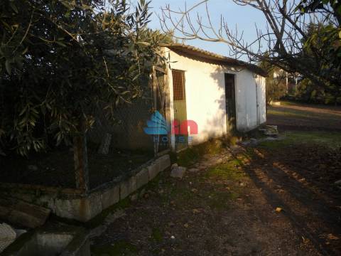 Terreno  Venda em Povolide,Viseu