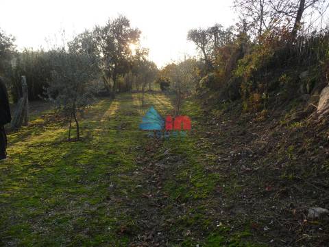 Terreno  Venda em Povolide,Viseu