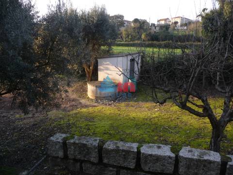 Terreno  Venda em Povolide,Viseu