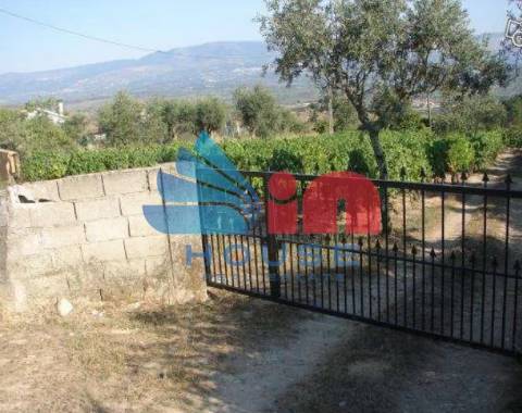 Terreno Rústico  Venda em Santiago de Cassurrães e Póvoa de Cervães,Mangualde