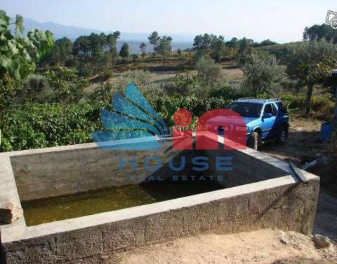 Terreno Rústico  Venda em Santiago de Cassurrães e Póvoa de Cervães,Mangualde