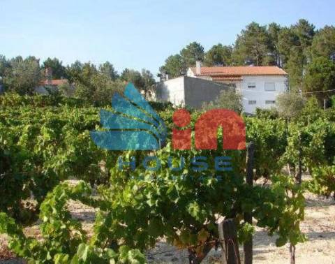 Terreno Rústico  Venda em Santiago de Cassurrães e Póvoa de Cervães,Mangualde