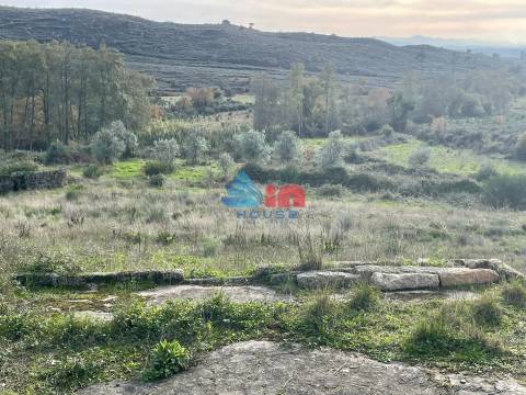 Terreno Misto  Venda em Santiago de Cassurrães e Póvoa de Cervães,Mangualde