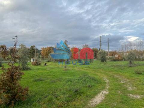 Terreno Para Construção  Venda em Mangualde, Mesquitela e Cunha Alta,Mangualde