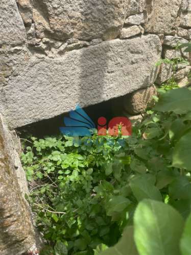 Moradia para Restaurar T3 Venda em Santiago de Cassurrães e Póvoa de Cervães,Mangualde