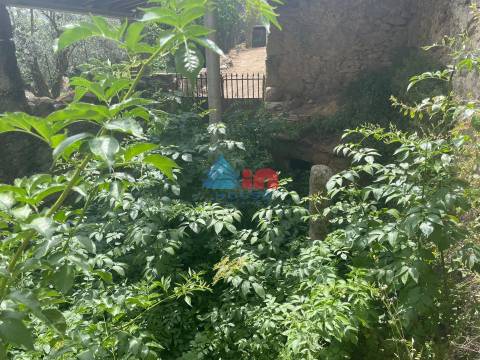 Moradia para Restaurar T3 Venda em Santiago de Cassurrães e Póvoa de Cervães,Mangualde