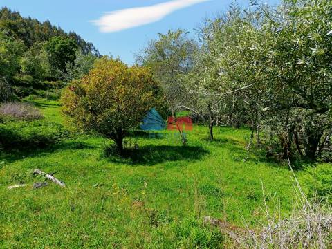 Moradia para Restaurar T4 Venda em São João do Monte e Mosteirinho,Tondela